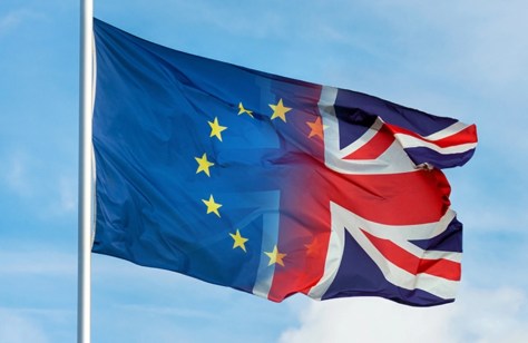 EU Must Not Allow UK  to Ditch Provisions of Northern Ireland Protocol